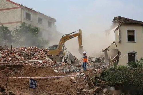 鄂州城市绿化工程的生态实践与民生影响