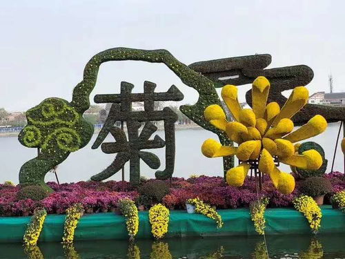 四川真植物花雕定制与景观花雕生产厂家 绿化工程的魅力与价值