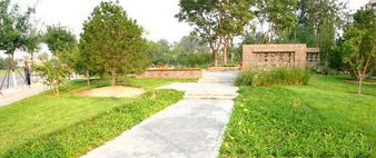 北京桃园园林绿化工程实景组图赏析