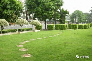 江阴市出台新规 信用评价纳入园林绿化工程招投标核心指标