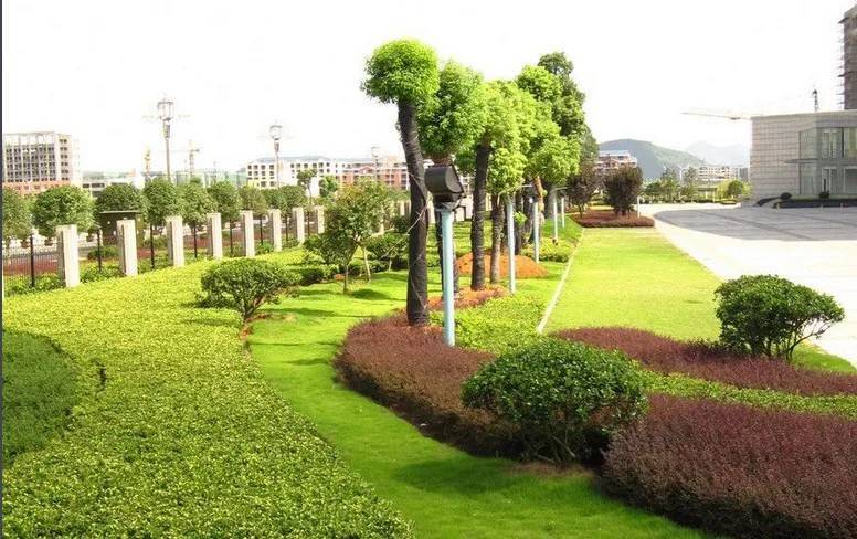 以园林绿化工程为基石，推进城市生态高质量发展