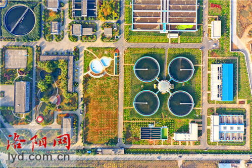 洛阳新区污水处理厂二期扩建工程绿化完工