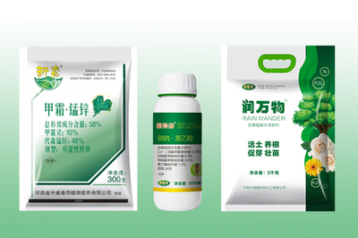 春季绿化工程树木养护与大树移栽成活率提升策略