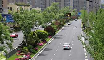 特色蕴于细节，匠心铸就精品——论绿化工程的卓越之道