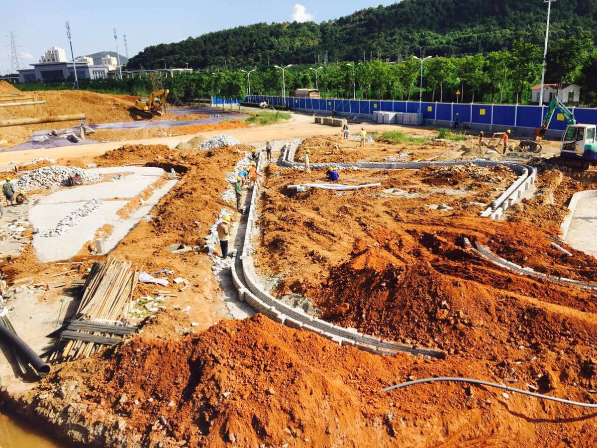 2019年6月15日大沙河生态长廊景观项目绿化工程III 绿化工程